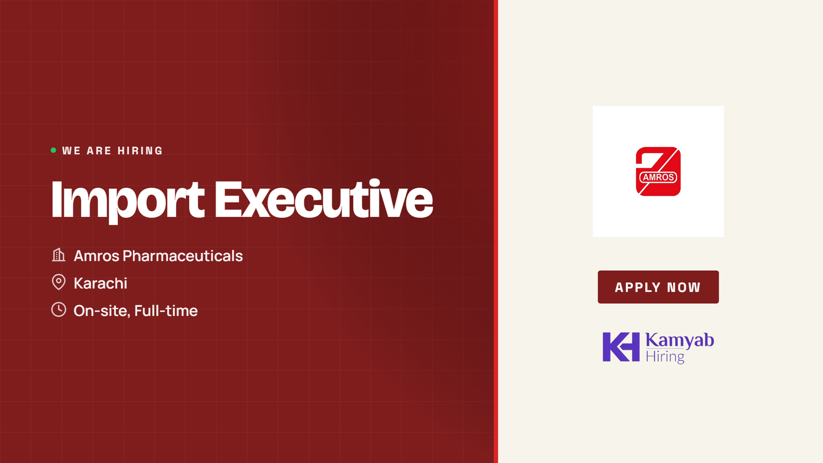 Amros Pharmaceuticals Jobs 2026 - Import Executive in Karachi