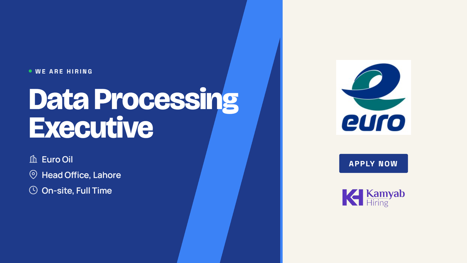 Euro Oil Jobs 2026 - Data Processing Executive in Lahore