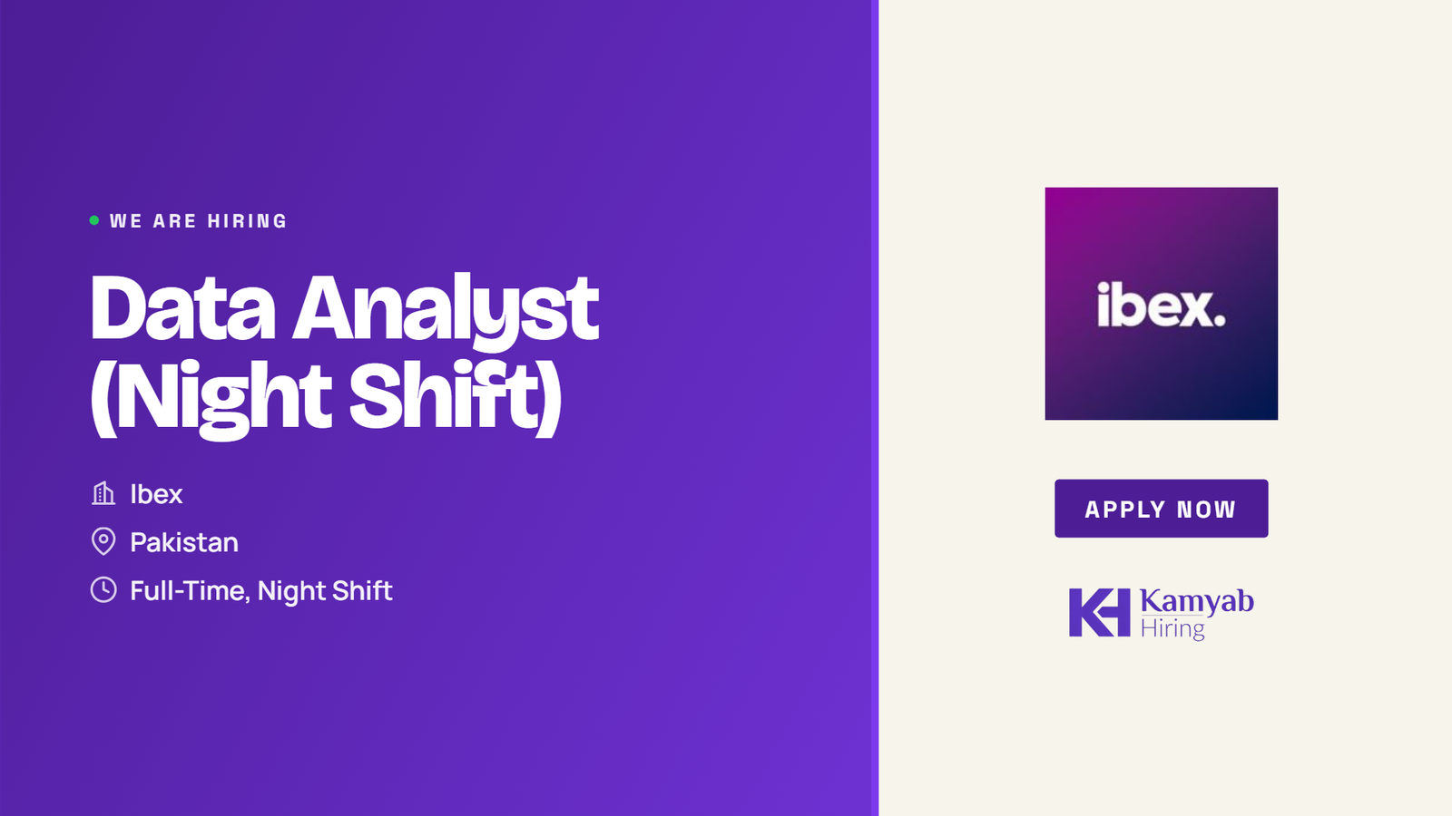 Ibex Jobs 2026 - Data Analyst (Night Shift) in Pakistan