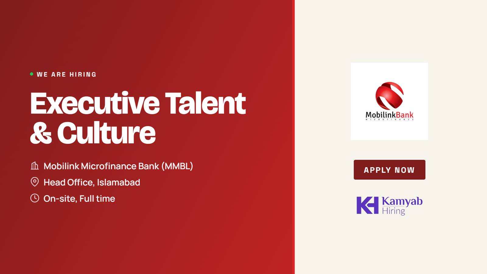Mobilink Microfinance Bank Jobs 2026 - Executive Talent & Culture