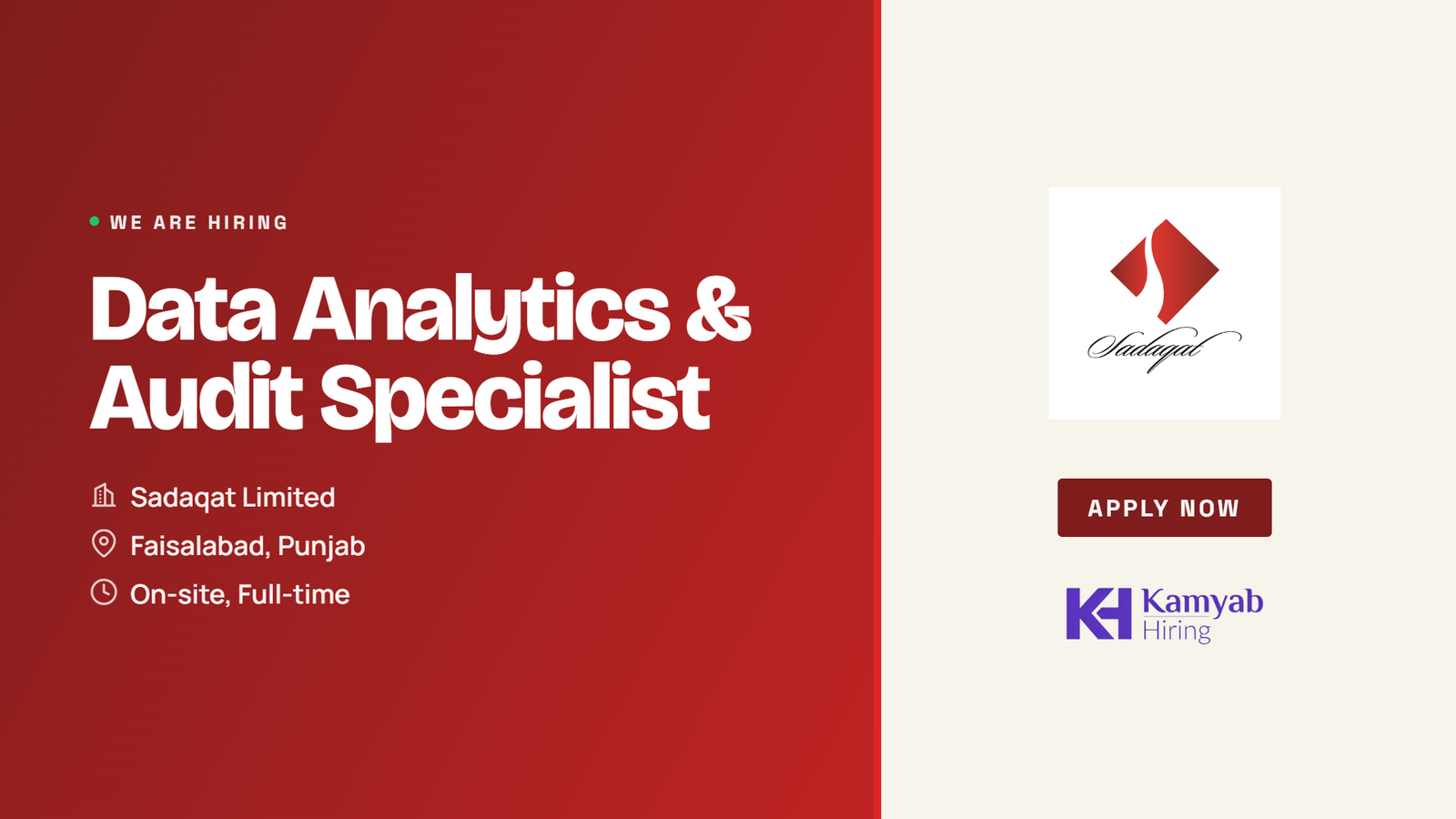Sadaqat Limited Jobs 2026 - Data Analytics & Audit Specialist in Faisalabad